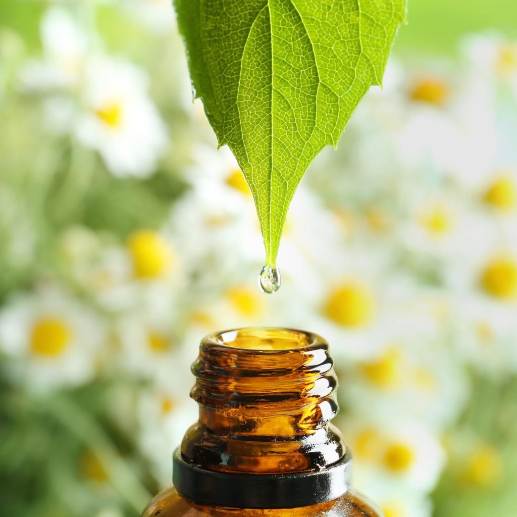 Aromathérapie et huiles essentielles, Pharmacie de la Ciseraie, Lyon, la Croix-Roussearrondissement